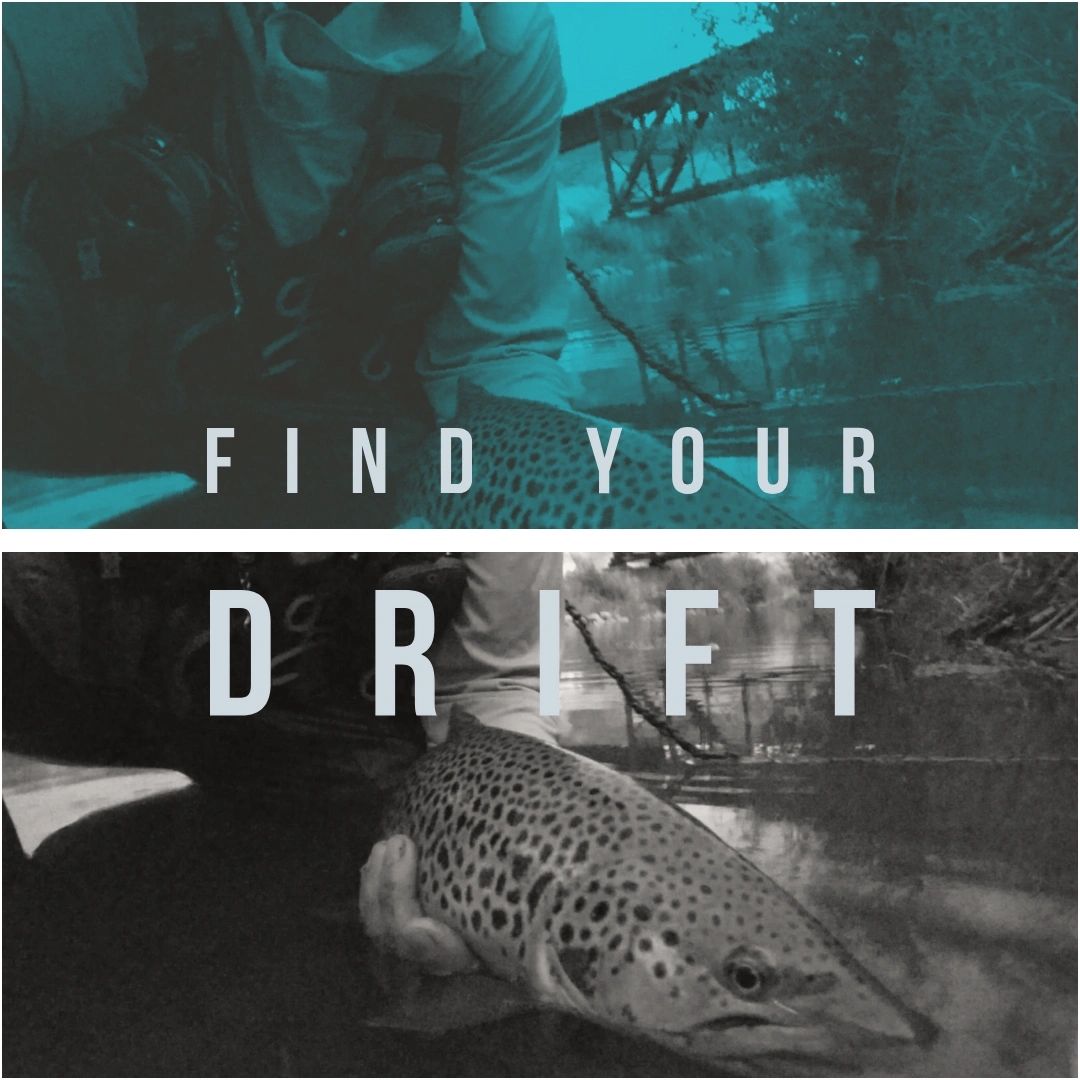 truckee river brown trout
