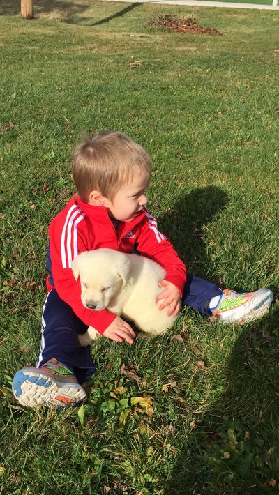 Grandson Junior, sitting with a Labrador Retriever Puppy.