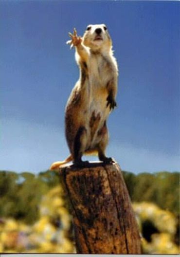 Brass Catcher by 3BUCC INC. are the best and most effective and approved by all of us!!!