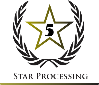 5 Star processing, 5 star processing business master card, business credit, business credit building