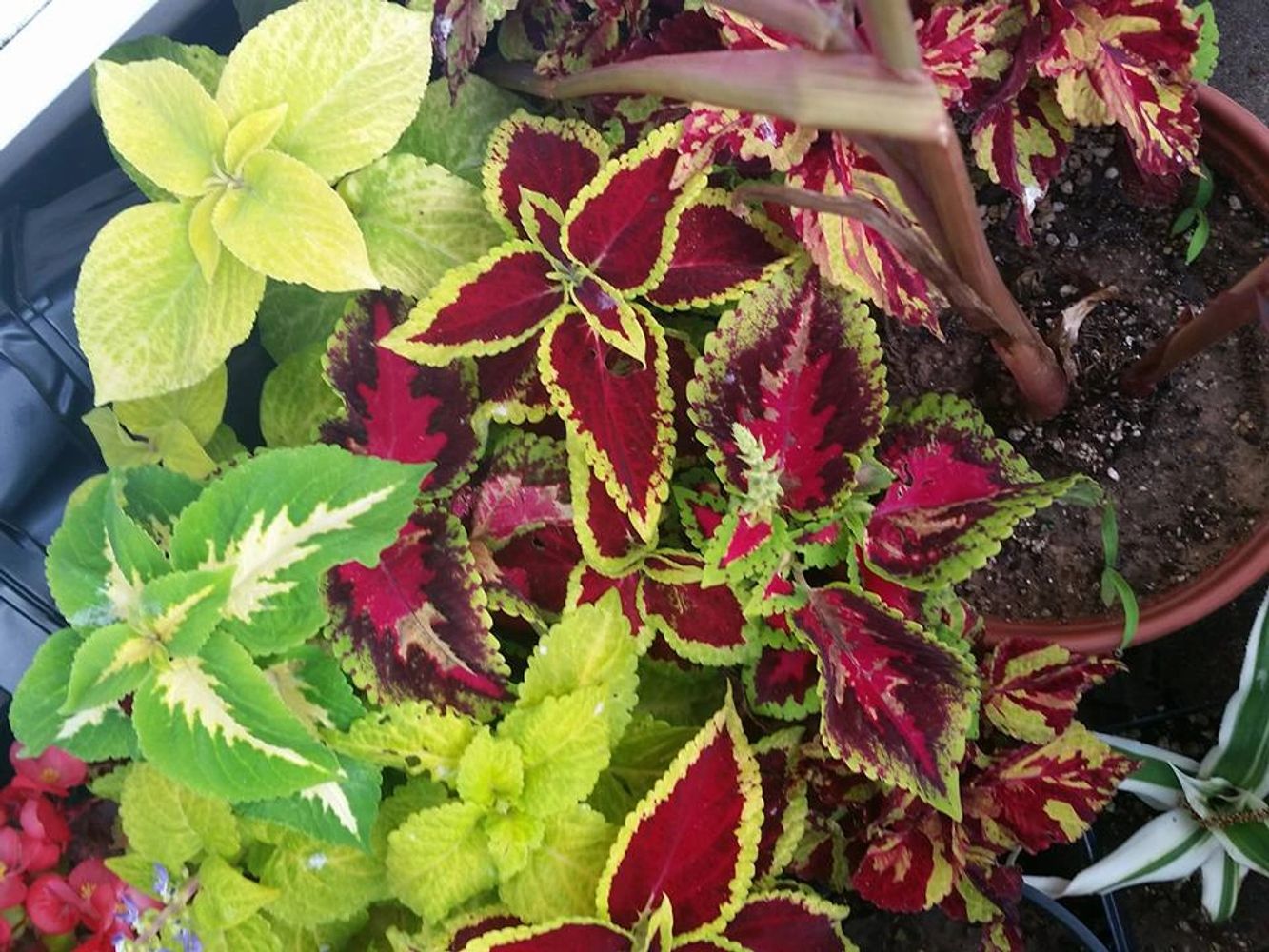 image2