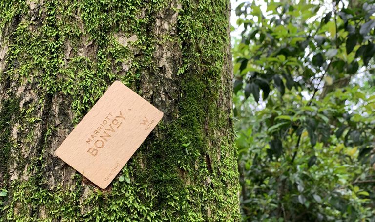 eco friendly hotel key cards RFID card sustainable biodegradable elimanation plastics