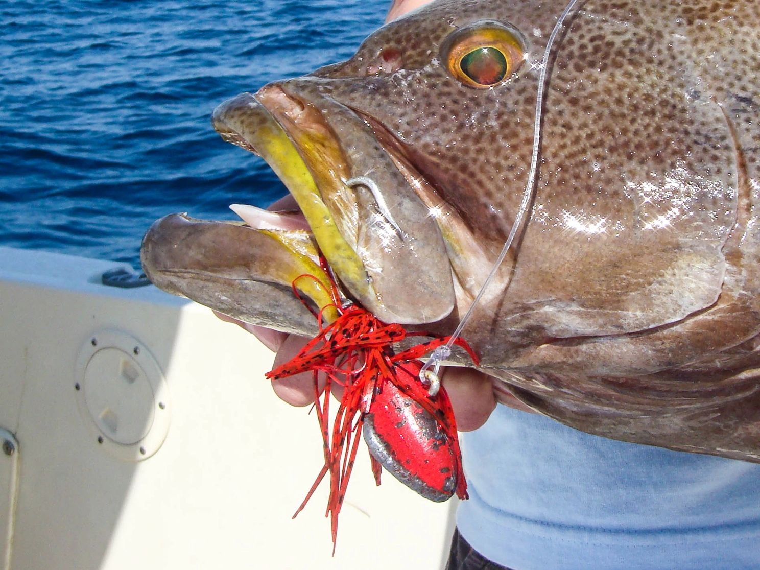 Coastal anglers order Crab Decoy Jigs for striped bass, drum, snook, grouper, west coast bottom fish