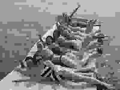 Swimming and water toys