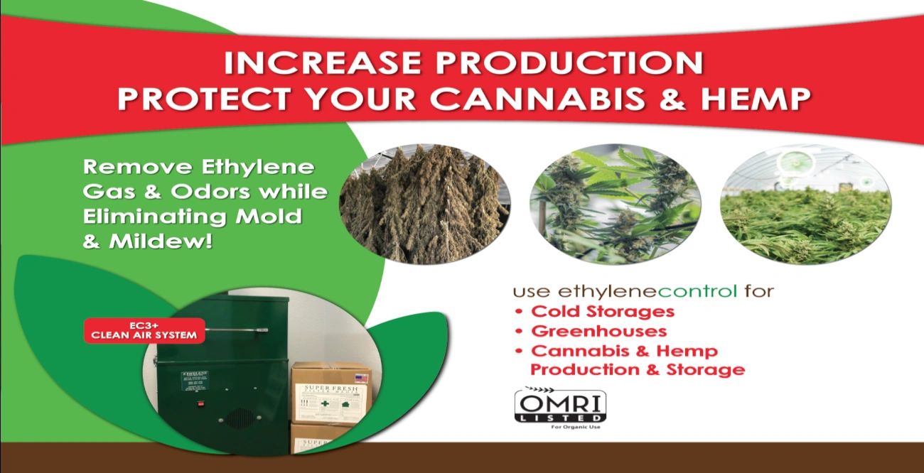 slide on how to increase production and protect cannabis and hemp
