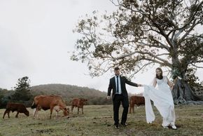 Cowbell Creek Wedding with Calin Jones and Kondra Brewski as photographers. Country wedding.