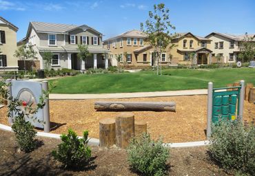 Payground landscape and design