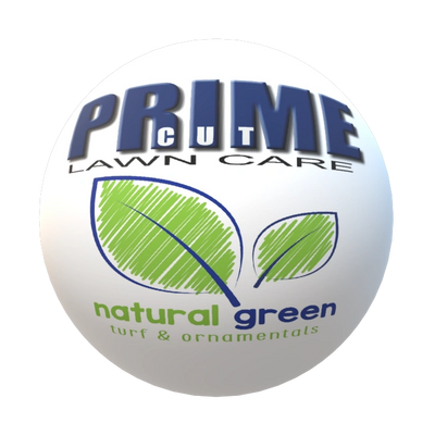 Prime Cut Lawn Care Natural Green Service is Organic fertilizer with a minimum of 50% of nutrients from organic and natural sources, with the other nutrients coming from synthetic sources
Broadleaf and pre-emergent weed control that may be applied whenever the customer deems these custom lawn options are necessary
Power Seeding
Lawn (Core) Aeration
Soil Enrichment
pH Balance Adjustment (sulfur or lime applications)
Natural Greens entire complement of custom organic lawn care services, including control of surface-feeding insects and other pests
Tree and shrub care
Ornamental bed weed control
Lawn damaging disease and insect control