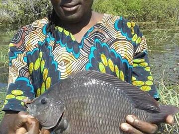 Fishing Safari