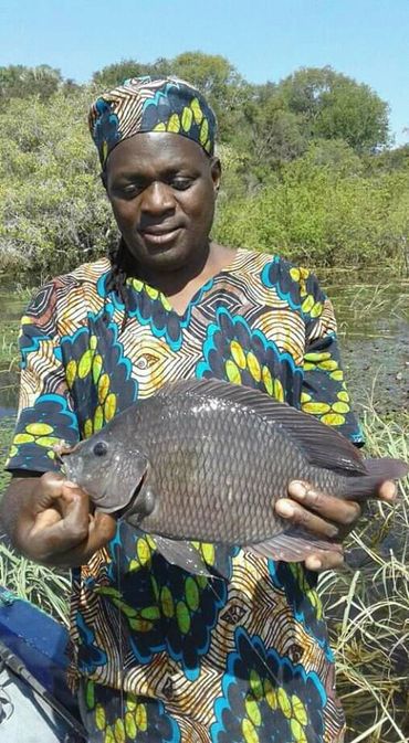 Tiger fishing excursion on the Zambezi