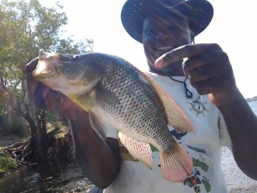 Tiger Fishing on the Zambezi