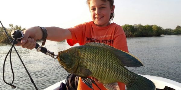 Tiger Fishing
Fishing Safaris