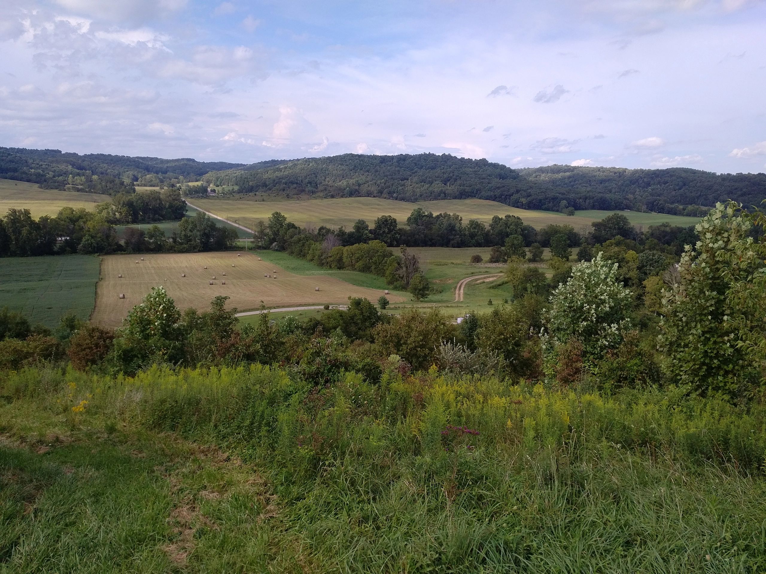 Hilltop view at Laurel Springs Farm LLC Hocking Hills