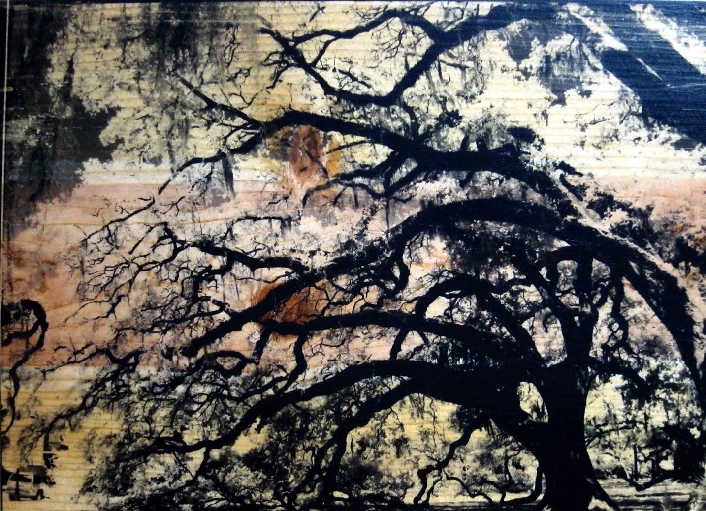 City Park Oaks: Liquid Emulsion Print on Pine: CombOver, New Orleans, LA