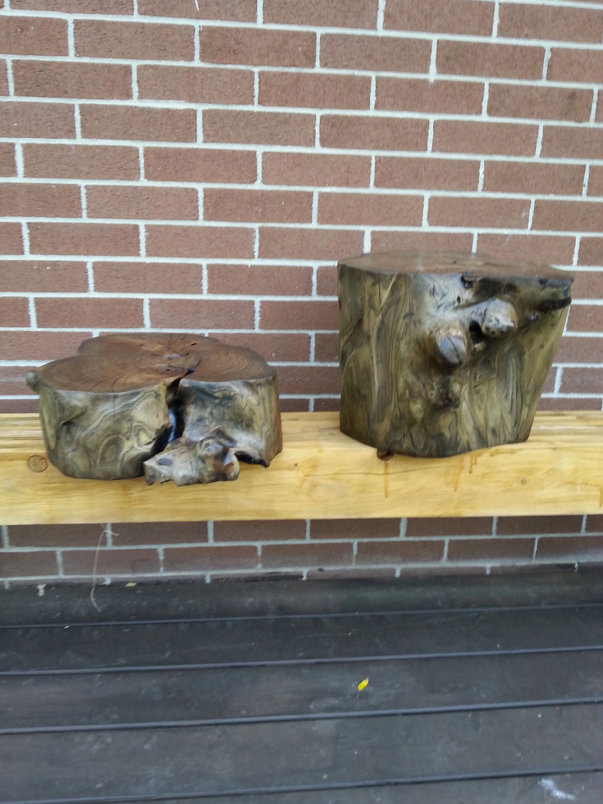 Two Siberian Pine stumps in Ebony oil finish