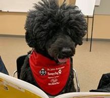 Read with Saskatchewan based therapy dogs