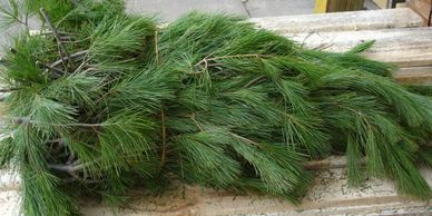 white pine bales christmas
Flower District NYC Wholesale Flowers Flower Supply Flower Market NYC