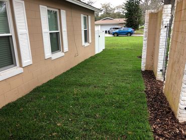 yard after cleaning up debris and brush, with new sod installed