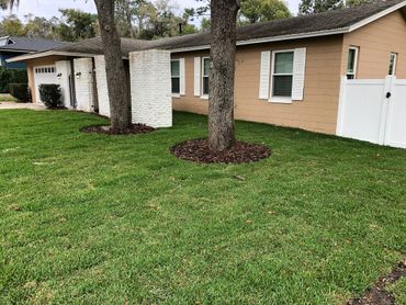 freshly landscaped property with debris removed, sod installed, and mulch installed