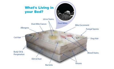A picture of a dirty mattress with examples of common contaminants.