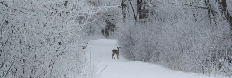 image793