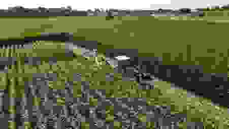 image243