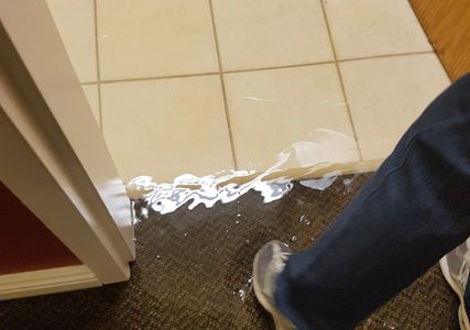 Water Damage in Burlington