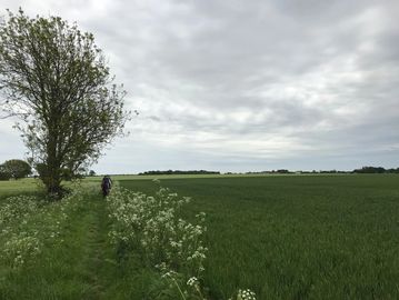 Bronze DofE, Duke of Edinburgh award essex herts hertfordshire cambridgeshire london suffolk. AAP