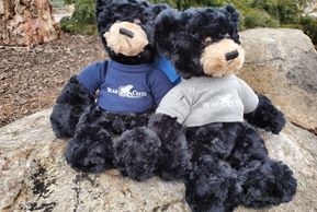 Bear Creek mountain Resort details, pennsylvania ski resorts map, best ski resorts in pennsylvania