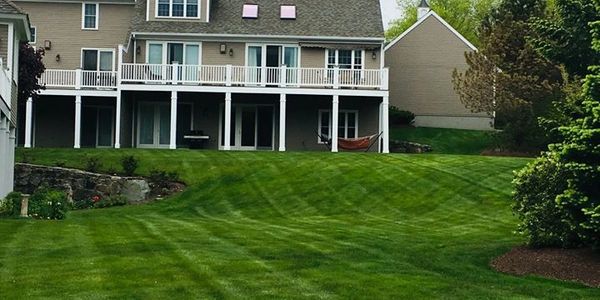 lawn care services, lawn fertilizer, green lawns, lawn fertilizer companies, north shore, 01969