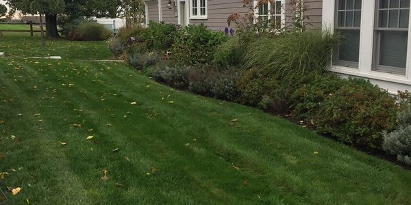 lawn care services, lawn fertilizer, green lawns, lawn fertilizer companies, north shore, 01969