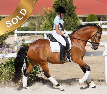 Everton Freestyle
Farewell III x Everton Charisma