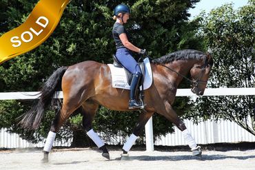 Everton Cshman
Capone x Victori Stream