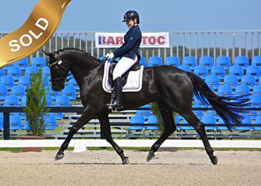 Everton Dreamtime
De Niro x Clayschool