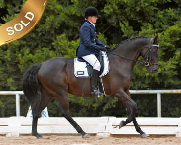 Everton Weltstar
Whisper IV x Clayschool