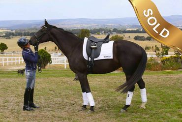 Everton Rejoice
Riverside x Everton Luisa