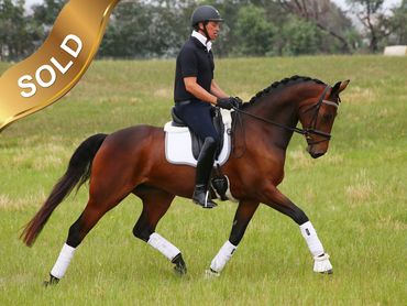 Everton Waltz
Whisper IV x Everton Lets Dance