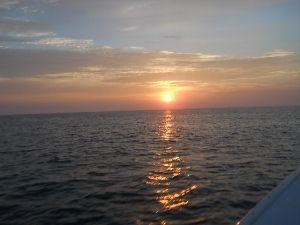 Fishing Outer Banks offers custom fishing charters on the OBX for all types of fishing.
