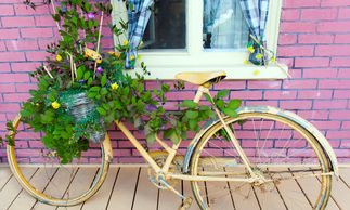 Vintage yellow bicycle with a basket of an overgrown a plant resting against a pink brick wall