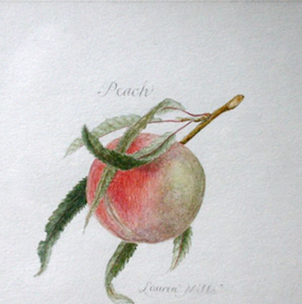 Artwork of an aesthetic peach fruit with leaves