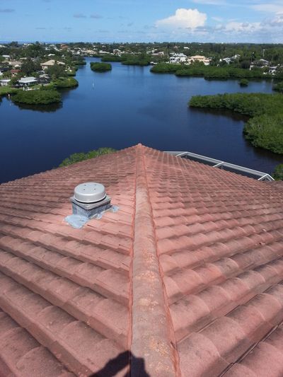American Bat Removal work in Venice Florida.