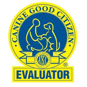 AKC Canine Good Citizen Evaluator Dog Trainer in Tampa, Dog training Tampa