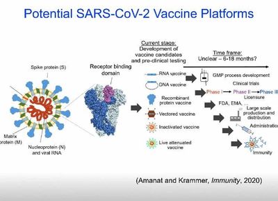Potential SARS-COV-2 Vaccine Platforms
