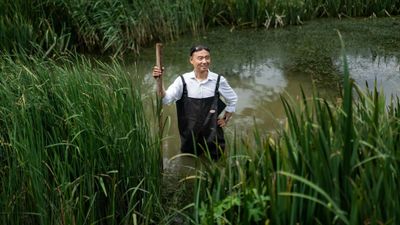 Chinese Environmental Activist Ma Jun