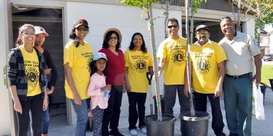 Tree Planting, environmental project, lions club service
