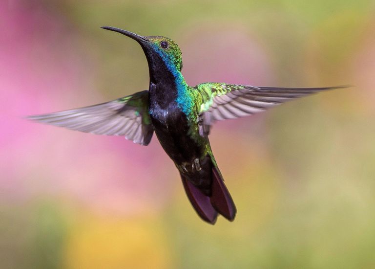 image975