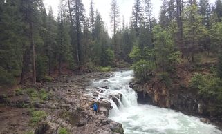 siskiyou county waterfalls mccloud northern california river access swimming holes fishing spot free
