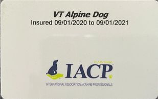 Insurance, insured, business Insurance.