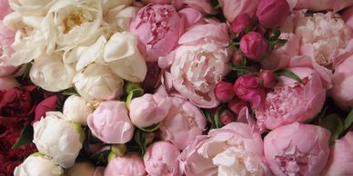 Peony colors ranging from vintage whites to magenta pinks