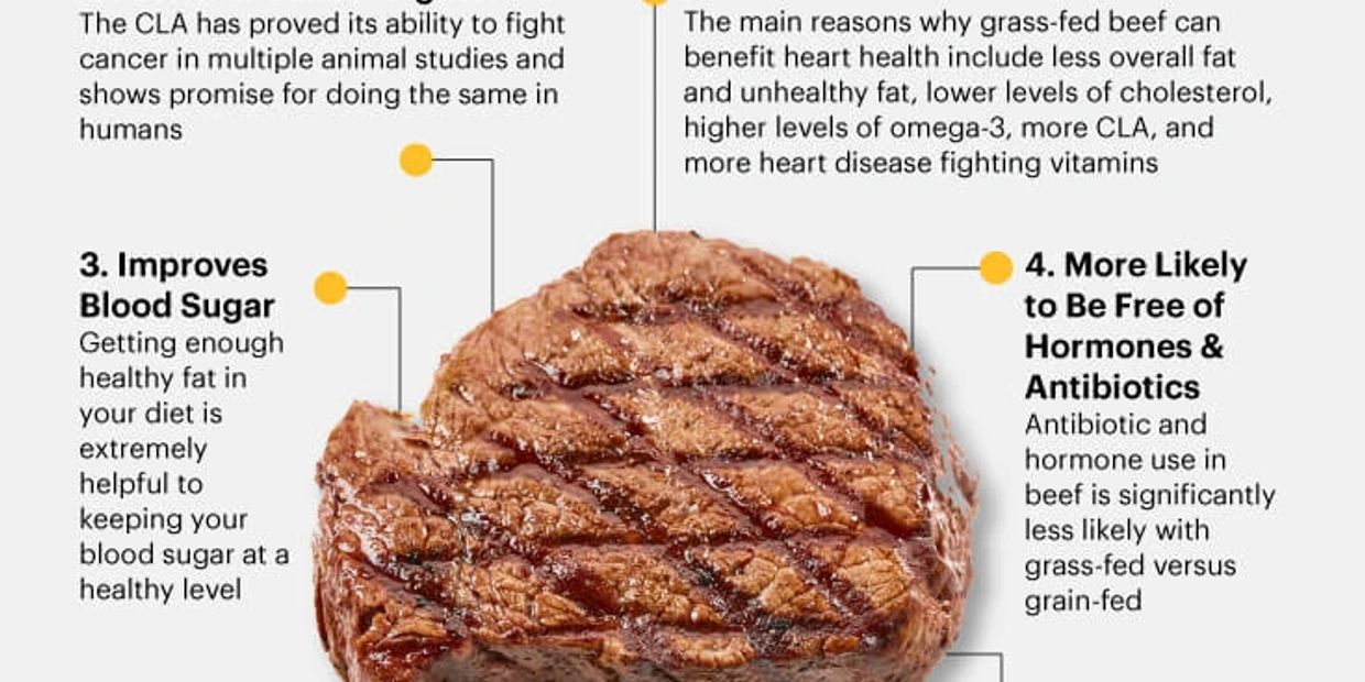 “Grass-fed” “grain-fed”…there is a real difference between these terms. Once you understand the diff